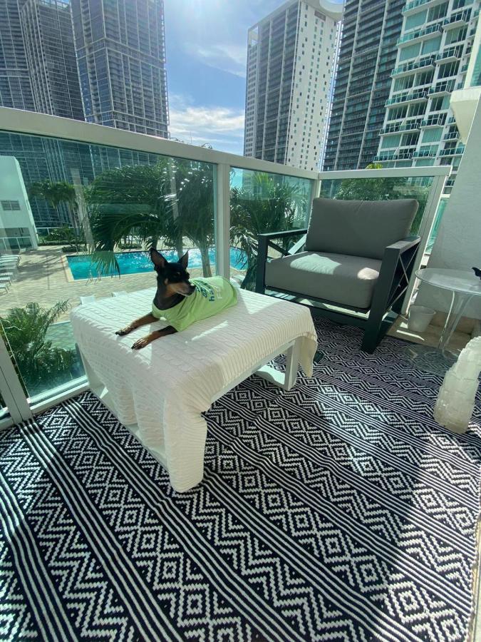 Comfortable Room In The Brickell City Center Area Miami Exteriör bild